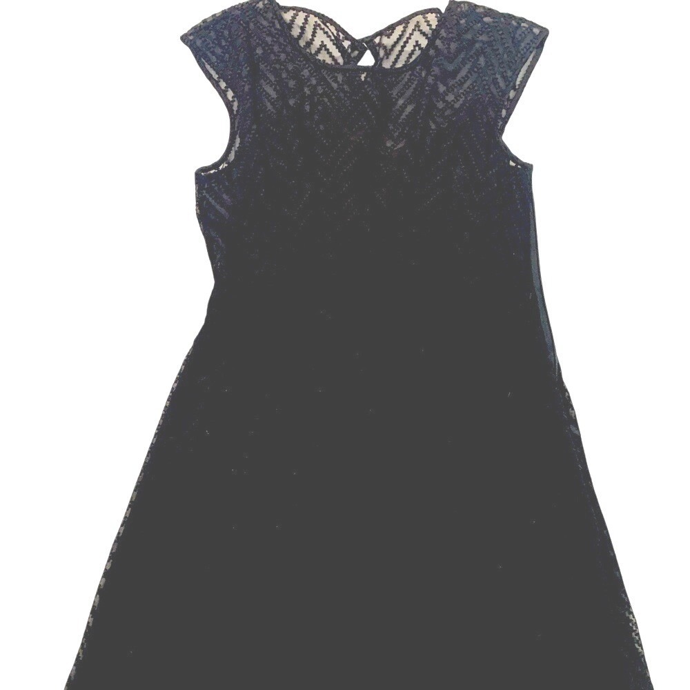 J. Crew Black Lace Fit-and-Flare Dress